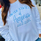 Light blue sweatshirt with 'United States of America LAND OF THE FREE HOME OF THE BRAVE' embroidery worn by a person outdoors.
